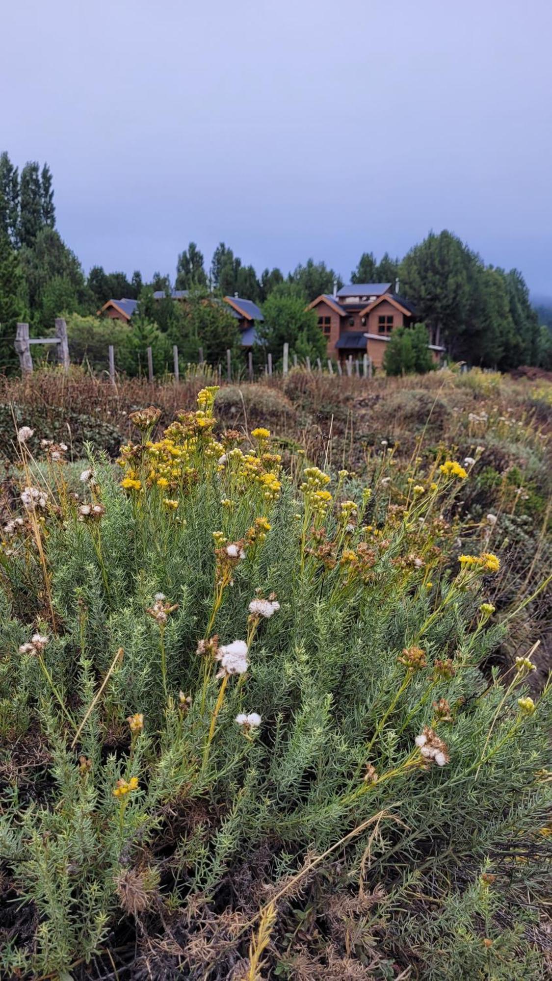 El Montanes * Villa Meliquina
